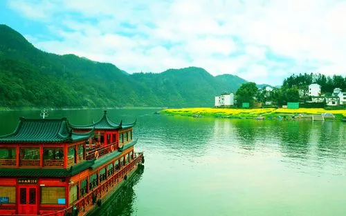 创新高端